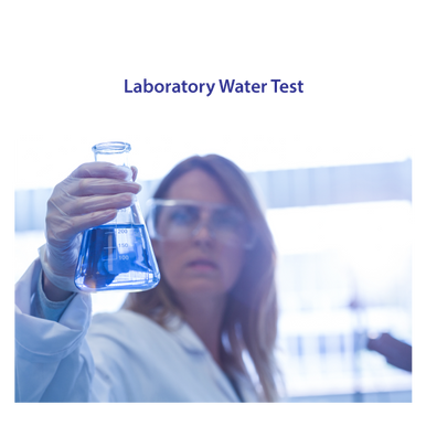 Full Laboratory Test - T