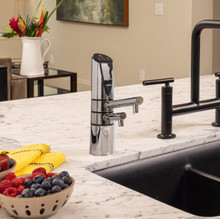 Delphi H2  Water Ionizer - T